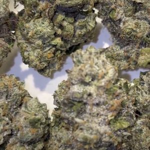 toad venom weed